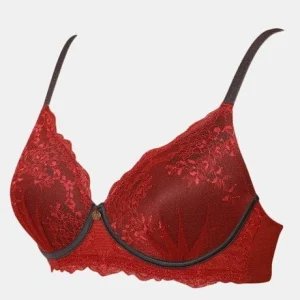Stir Padded Wirefree Neck Lace Bra Merlot 2