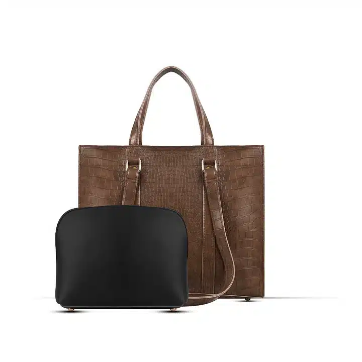 Zara Choco Brown Bag